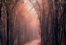 雷速体育官网：[德甲]罗伊斯告别多特蒙德 12年黄黑生涯即将落幕.