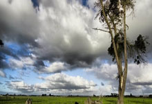 [英超]利物浦赢球送别主帅克洛普.