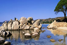 雷速体育官网:维尼修斯赶回巴西看球,现场见证老东家弗拉门戈夺冠.